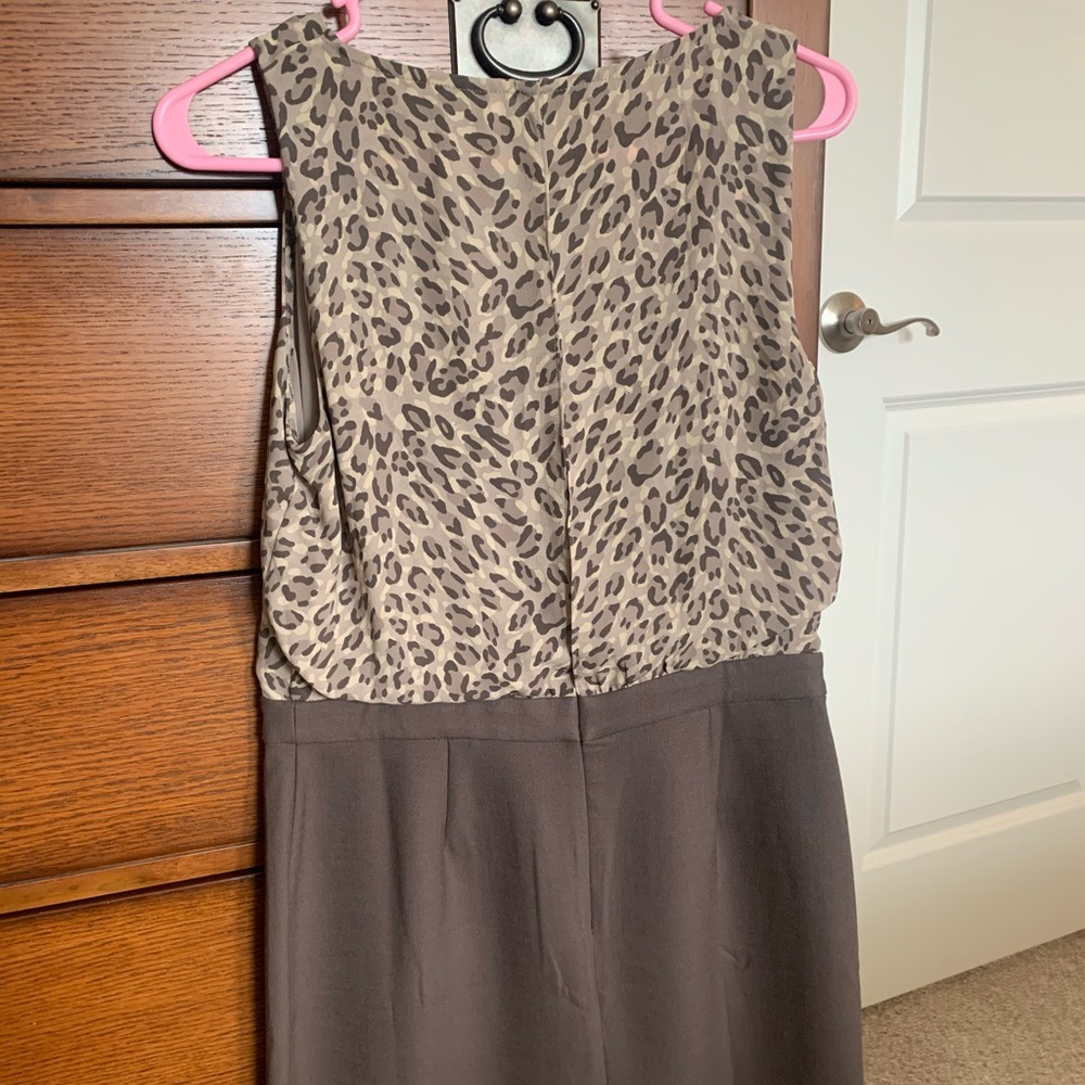 🦄 NWT LOFT Leopard shift dress, size 8P - Picture 7 of 7